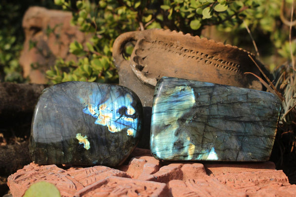 Polished Labradorite Standing Free Forms With Nice Blue Flash  x 2 From Tulear, Madagascar - TopRock