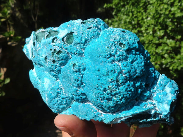 Natural Blue Chrysocolla On Silky Malachite Matrix Specimens  x 2 From Kulukuluku, Congo - Toprock Gemstones and Minerals 