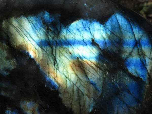 Polished Flashy Blue & Gold Labradorite Standing Free Forms  x 2 From Tulear, Madagascar - TopRock