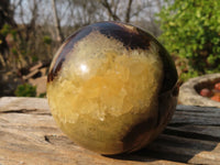 Polished Septaria Spheres x 3 From Madagascar - Toprock Gemstones and Minerals 