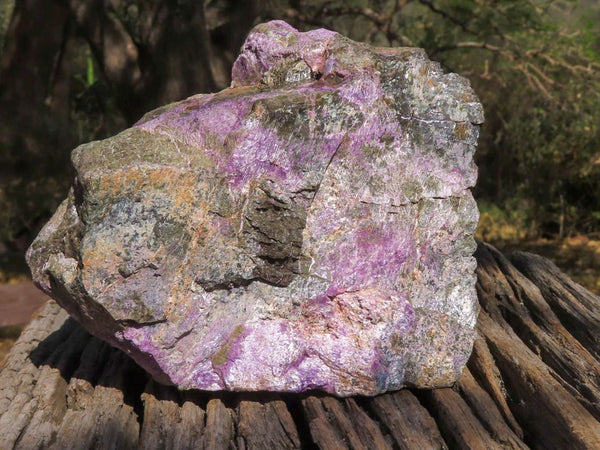 Natural Extra Large Purple Stichtite Specimen  x 1 From Barberton, South Africa - TopRock