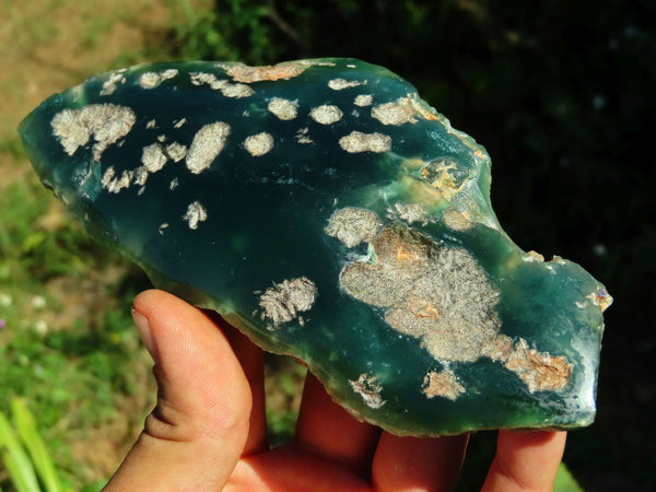 Polished  One Side Mtorolite Chrysoprase Slices x 2 From Mutorashanga, Zimbabwe - TopRock