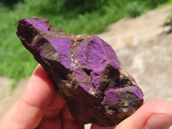 Natural Rough Purpurite Pieces x 12 From Namibia - TopRock