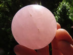 Polished Pink Star Rose Quartz Spheres  x 6 From Madagascar - TopRock