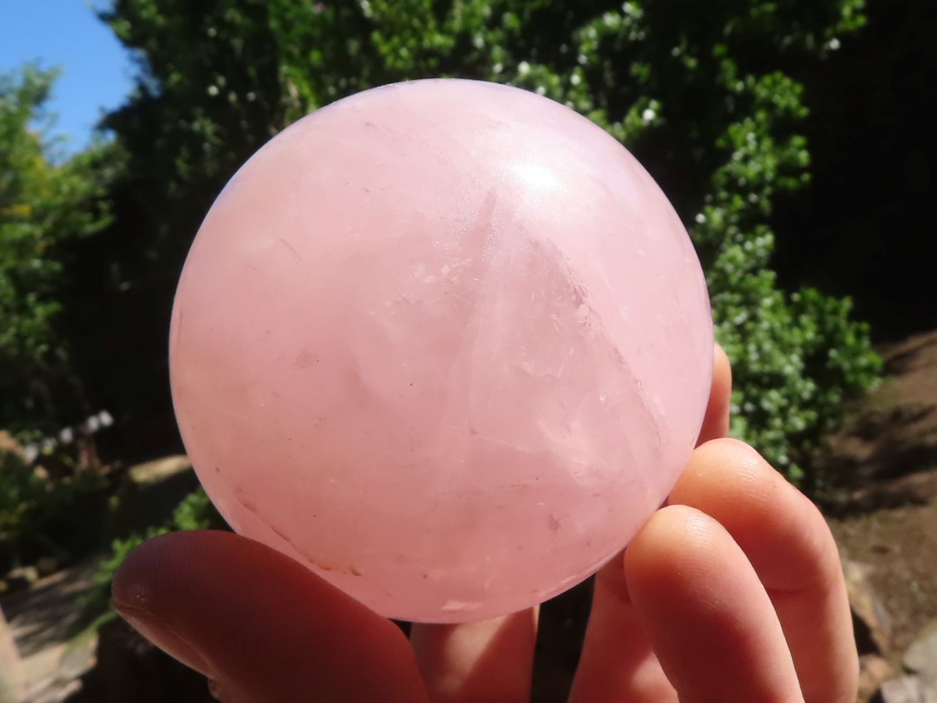 Polished Pink Star Rose Quartz Spheres  x 6 From Madagascar - TopRock