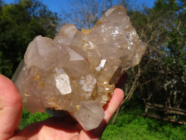Natural Arcadian Angolan Multi Terminated Quartz Crystal x 1 From Angola - TopRock