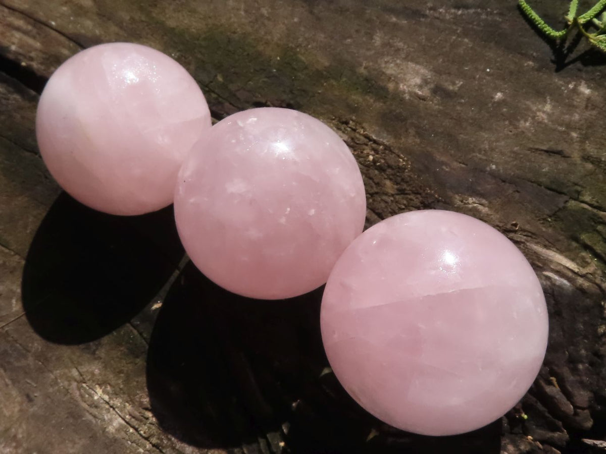 Polished Pink Star Rose Quartz Spheres  x 6 From Madagascar - TopRock