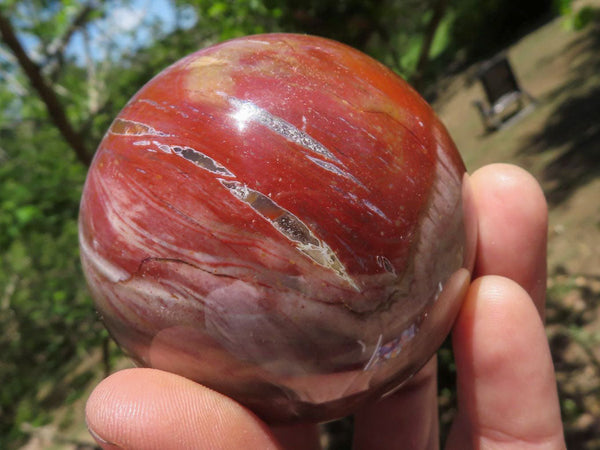 Polished Petrified Red Podocarpus Wood Spheres  x 3 From Mahajanga, Madagascar - TopRock