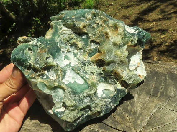 Natural Extra Large Mtorolite / Chrome Chrysoprase Cutting Material  x 2 From Zimbabwe - TopRock