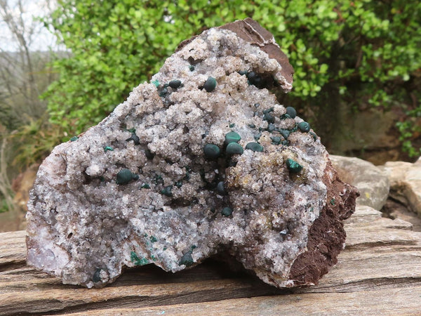 Natural Rare Ball Malachite On Drusi Quartz & Dolomite Matrix  x 1 From Kambove, Congo - Toprock Gemstones and Minerals 