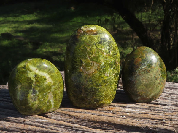 Polished Vibrant Green Opal Standing Free Forms x 3 From Antsirabe, Madagascar - TopRock