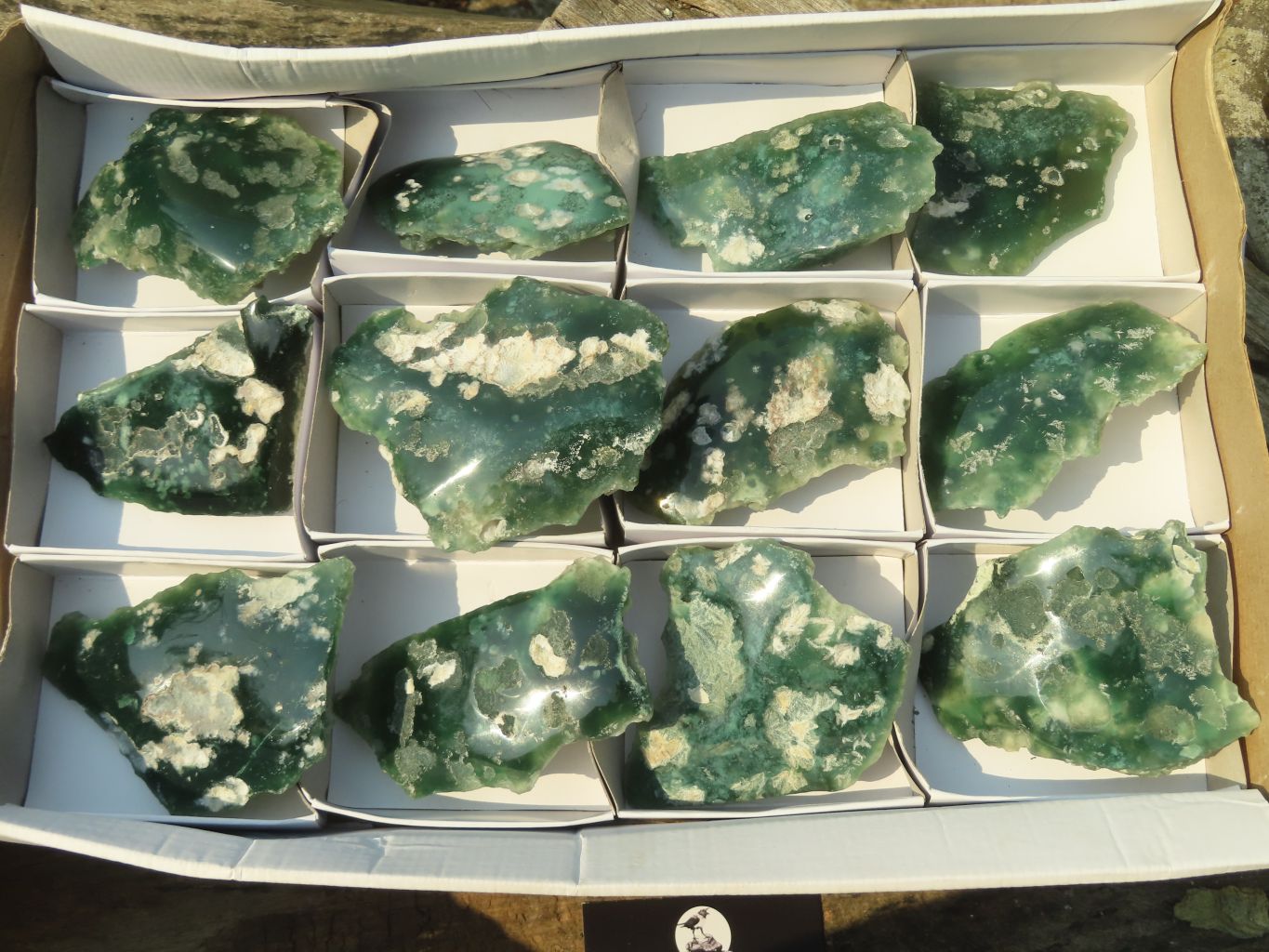 Polished On One Side Emerald Mtorolite Plates x 12 From Mutorashanga, Zimbabwe - Toprock Gemstones and Minerals 