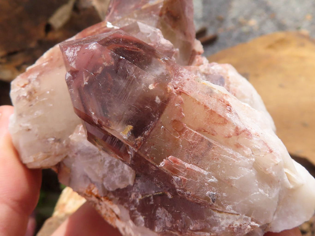 Natural Red Hematite Quartz Crystal Specimens x 5 From Karoi, Zimbabwe - TopRock