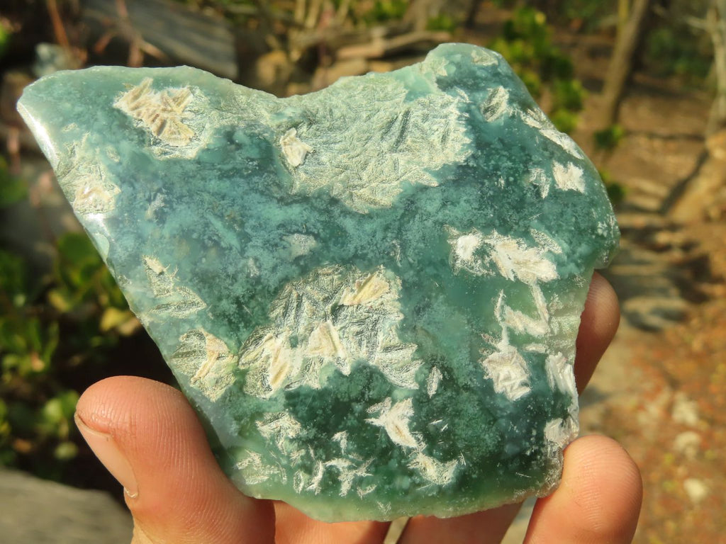 Polished On One Side Emerald Mtorolite Plates x 12 From Mutorashanga, Zimbabwe - Toprock Gemstones and Minerals 