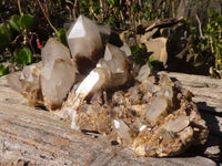 Natural White Phantom Hematoid Quartz Cluster  x 1 From Madagascar - Toprock Gemstones and Minerals 