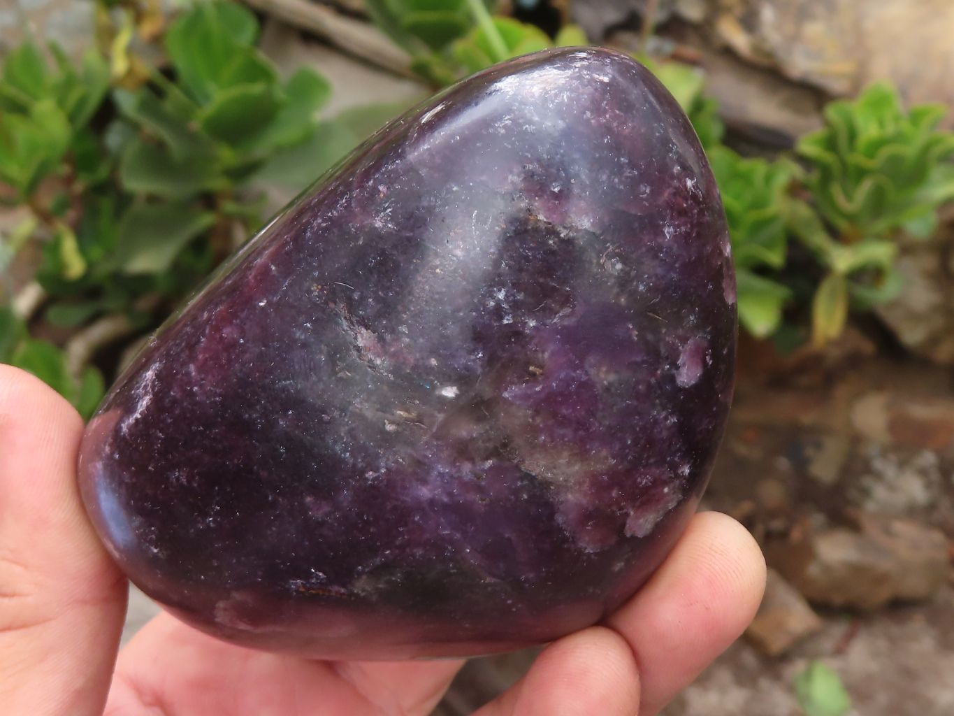 Polished Deep Purple Lepidolite Standing Free Forms  x 2 From Zimbabwe - Toprock Gemstones and Minerals 