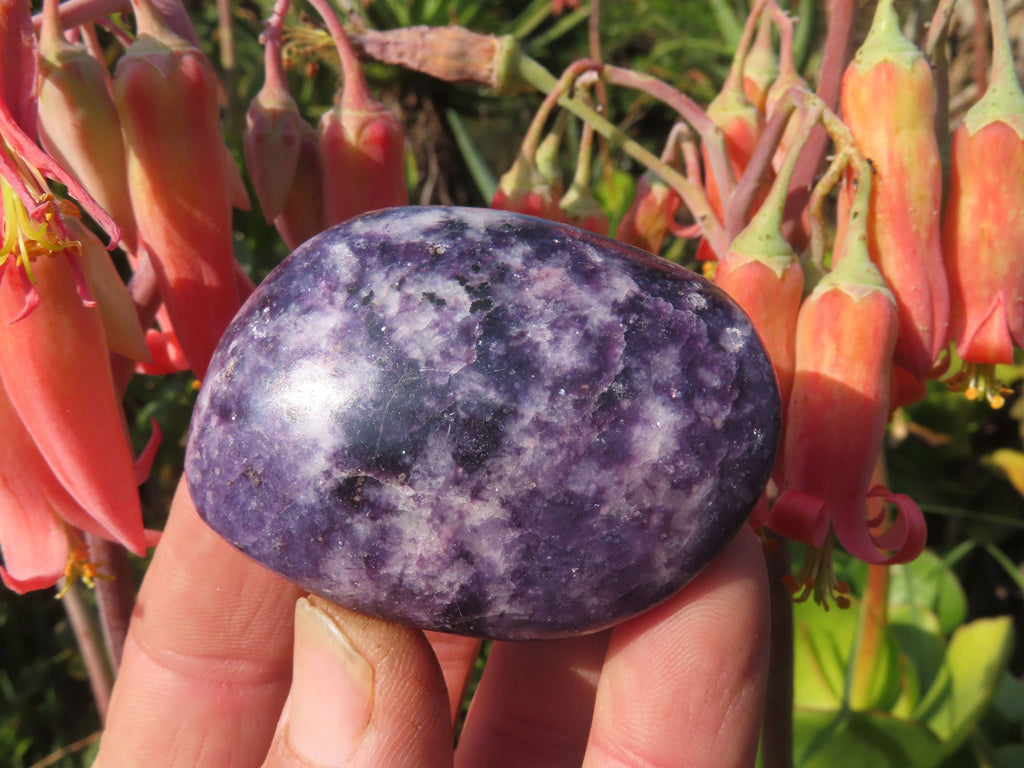Polished Highly Selected Lepidolite (Lithium Mica) Gallets or Palm Stones - sold per Kg - From Madagascar - TopRock