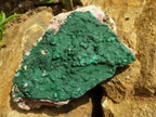 Natural Micro Botryoidal Crystalline Malachite Specimens  x 6 From Tenke Fungurume, Congo - TopRock