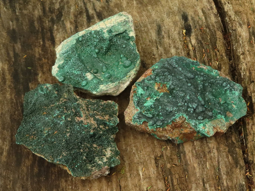 Natural Crystalline Malachite Specimens  x 6 From Tenke Fungurume, Congo - TopRock