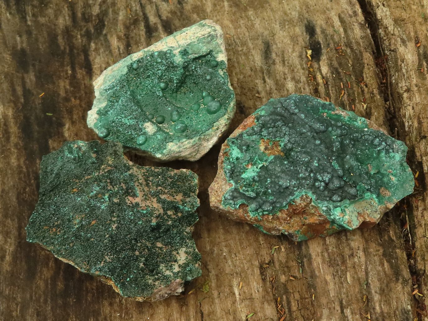 Natural Crystalline Malachite Specimens  x 6 From Tenke Fungurume, Congo - TopRock
