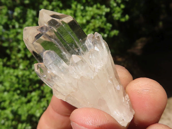 Natural Clear Cascading Quartz Crystals With Hints Of Citrine  x 70 From Luena, Congo - Toprock Gemstones and Minerals 