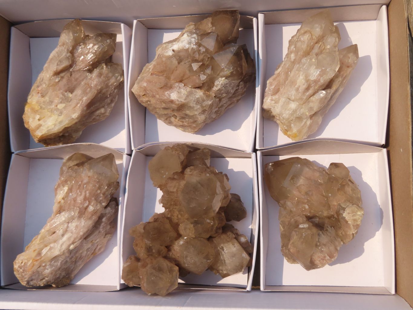 Natural Smokey Phantom Quartz Clusters x 6 From Luena, Congo - Toprock Gemstones and Minerals 
