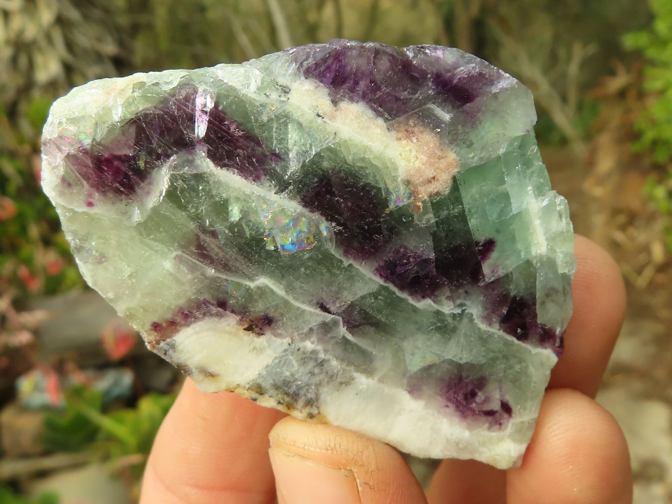 Polished  Watermelon Fluorite Slices  x 12 From Uis, Namibia - Toprock Gemstones and Minerals 