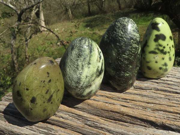 Polished Leopard Stone Standing Free Forms  x 4 From Shamva, Zimbabwe - TopRock