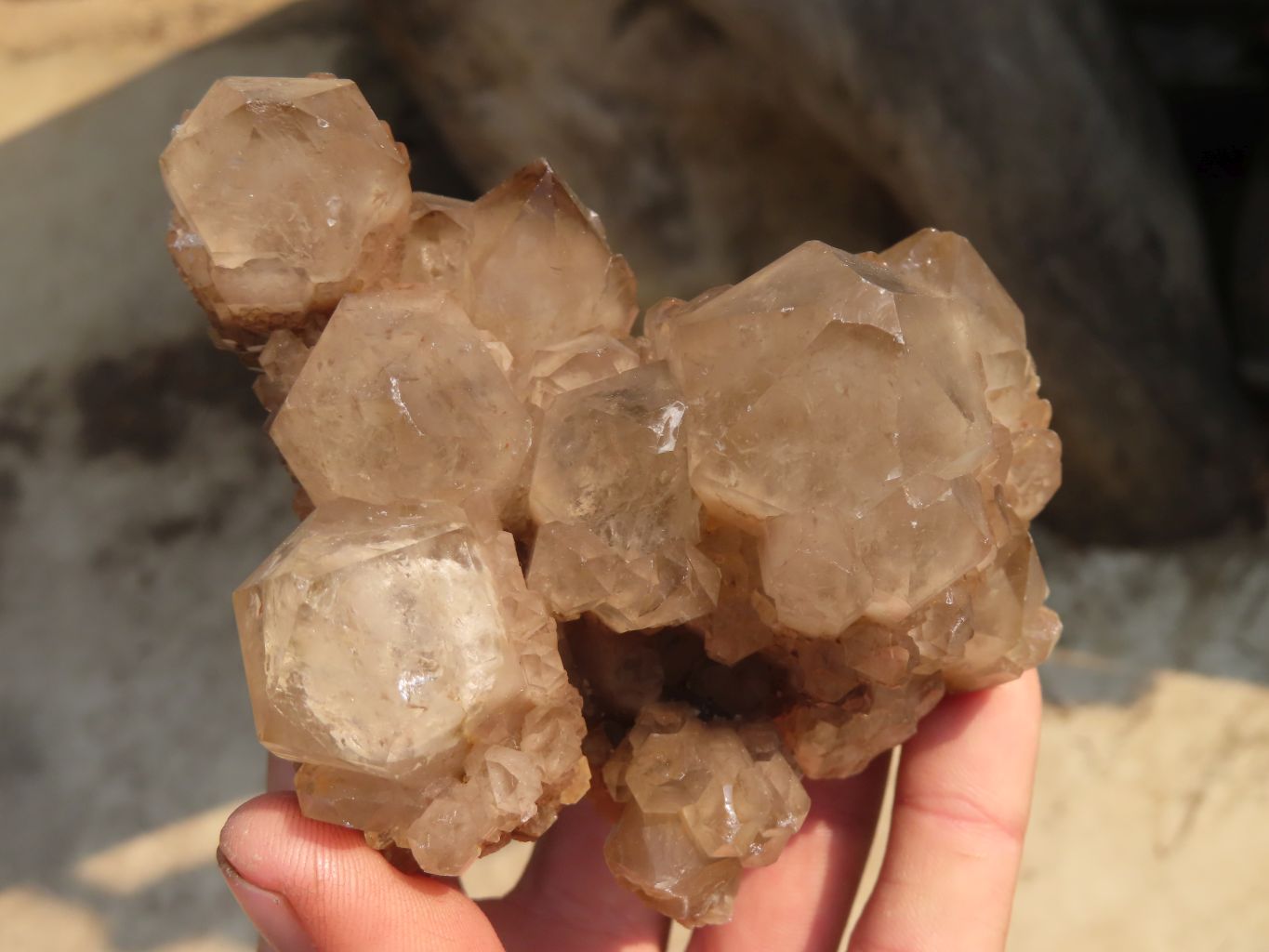 Natural Smokey Phantom Quartz Clusters x 6 From Luena, Congo - Toprock Gemstones and Minerals 