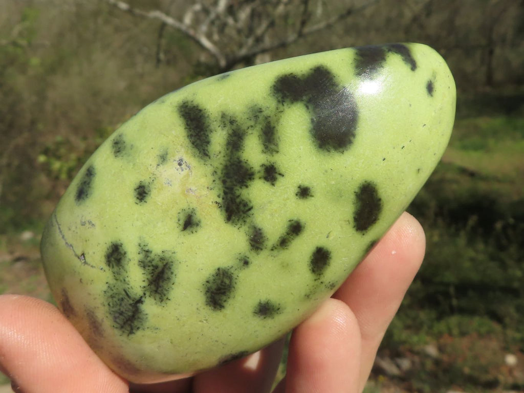 Polished Leopard Stone Standing Free Forms  x 4 From Shamva, Zimbabwe - TopRock