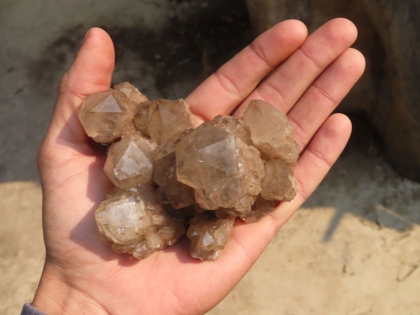 Natural Smokey Phantom Quartz Clusters x 6 From Luena, Congo - Toprock Gemstones and Minerals 