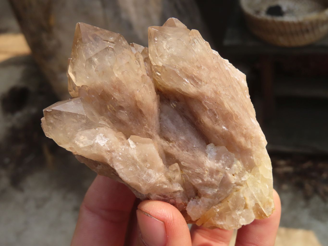 Natural Smokey Phantom Quartz Clusters x 6 From Luena, Congo - Toprock Gemstones and Minerals 