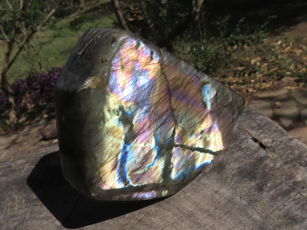 Polished Stunning Trio Of Labradorite Standing Free Forms  x 3 From Tulear, Madagascar - TopRock