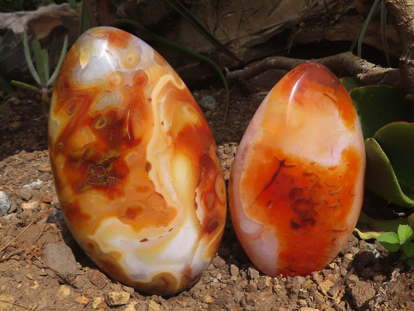 Polished Large Carnelian Agate Standing Free Forms With Gorgeous Patterns  x 2 From Madagascar - TopRock