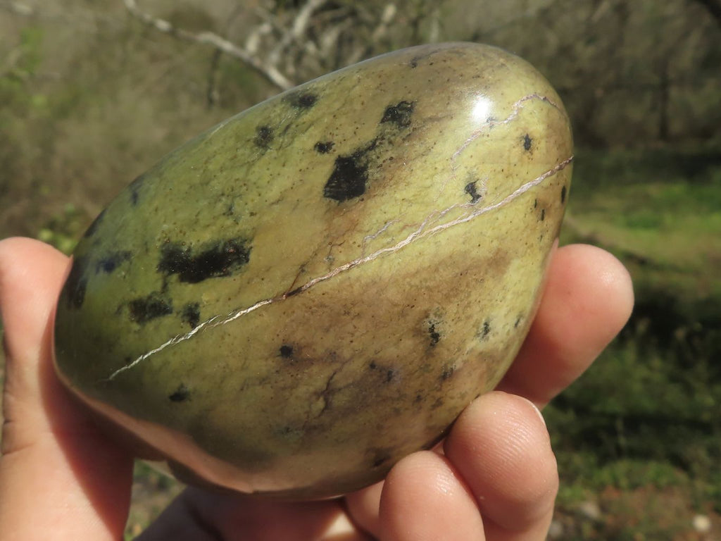 Polished Leopard Stone Standing Free Forms  x 4 From Shamva, Zimbabwe - TopRock