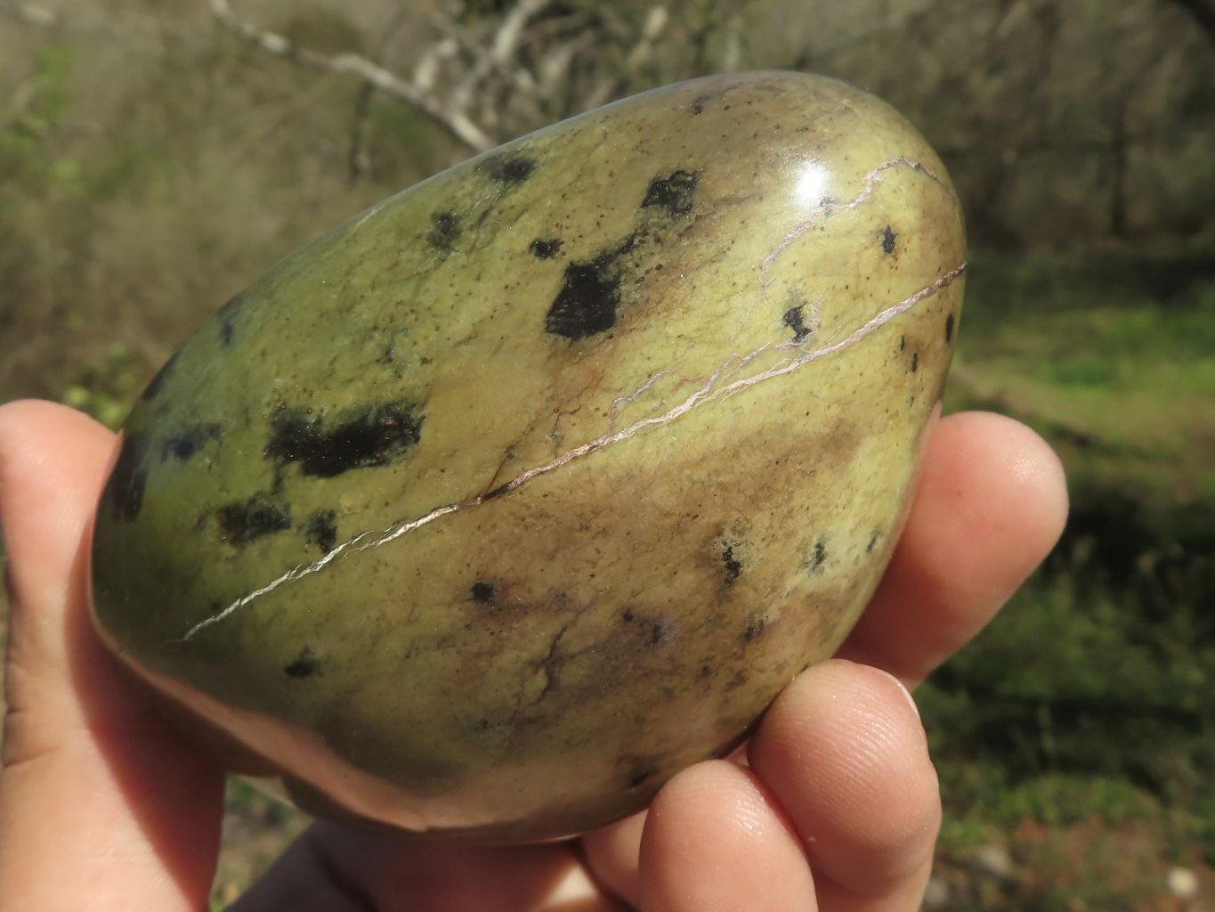 Polished Leopard Stone Standing Free Forms  x 4 From Shamva, Zimbabwe - TopRock