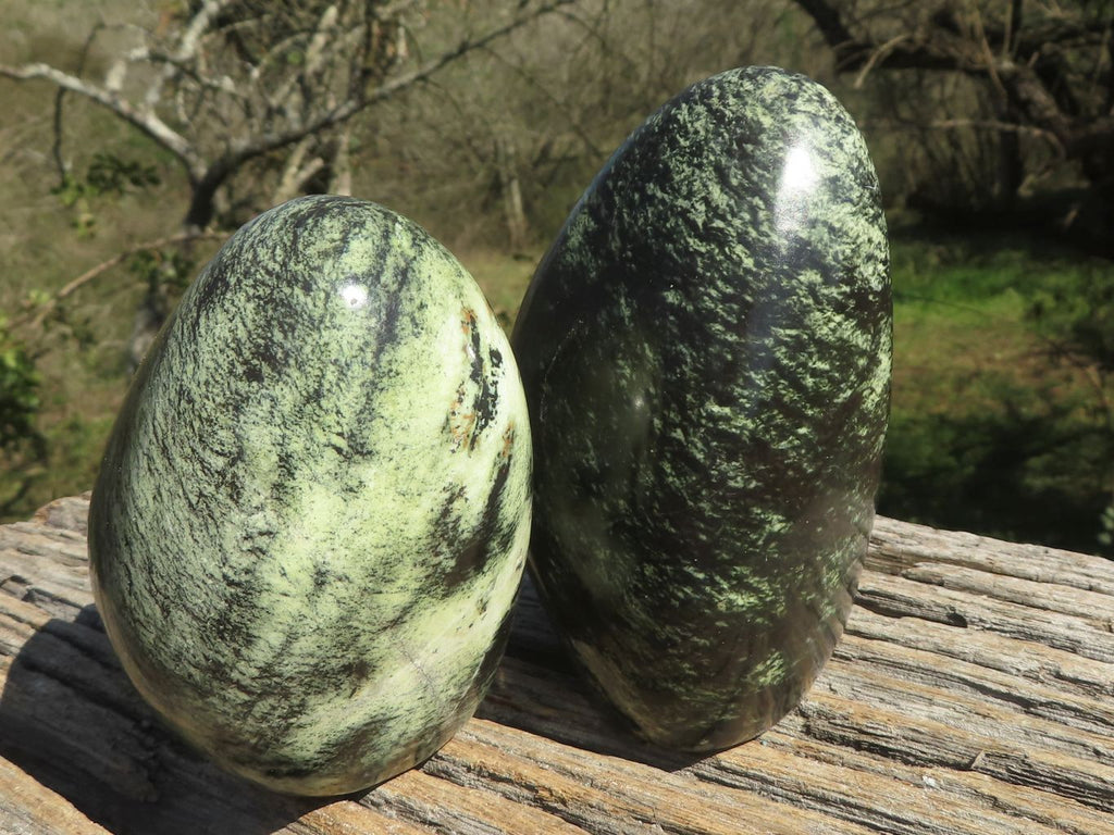Polished Leopard Stone Standing Free Forms  x 4 From Shamva, Zimbabwe - TopRock