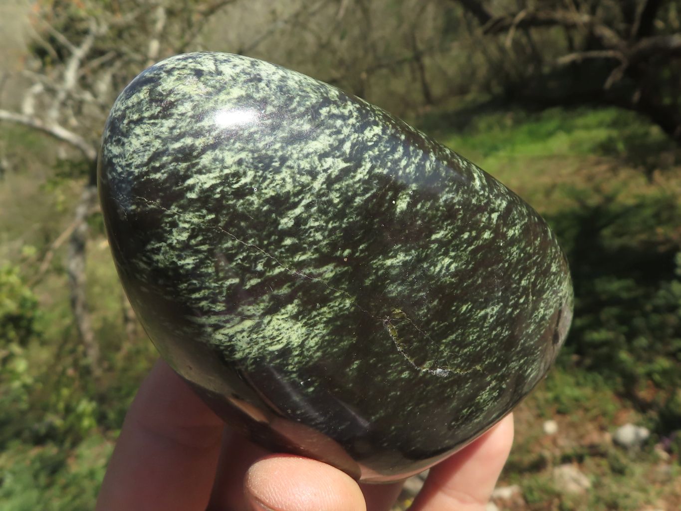 Polished Leopard Stone Standing Free Forms  x 4 From Shamva, Zimbabwe - TopRock
