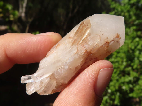 Natural Single Pineapple Quartz Crystals  x 35 From Antsirabe, Madagascar - Toprock Gemstones and Minerals 