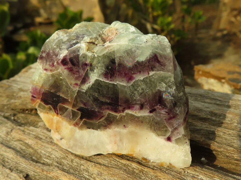 Polished  Watermelon Fluorite Slices  x 12 From Uis, Namibia - Toprock Gemstones and Minerals 