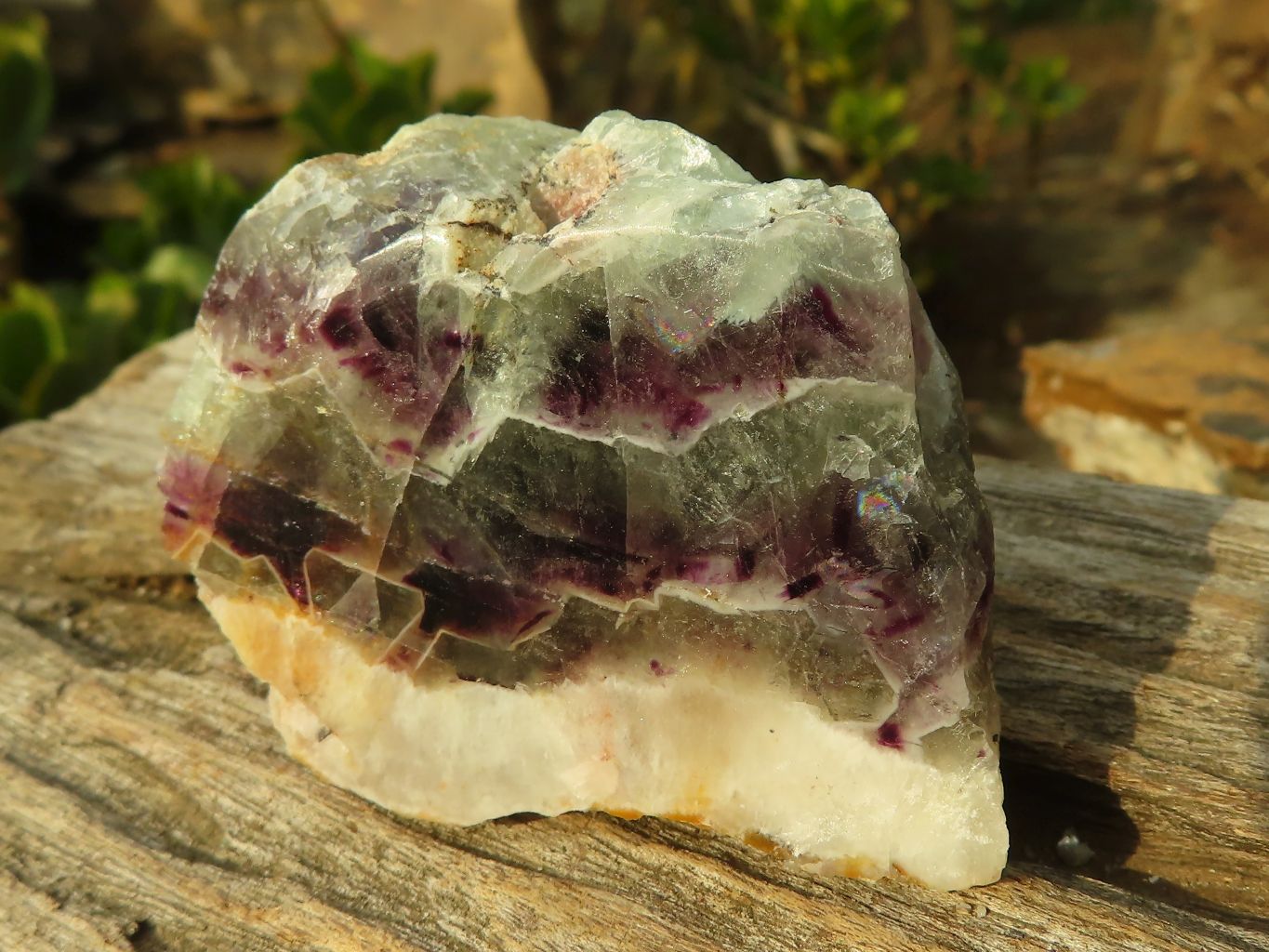 Polished  Watermelon Fluorite Slices  x 12 From Uis, Namibia - Toprock Gemstones and Minerals 
