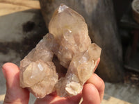 Natural Smokey Phantom Quartz Clusters x 6 From Luena, Congo - Toprock Gemstones and Minerals 