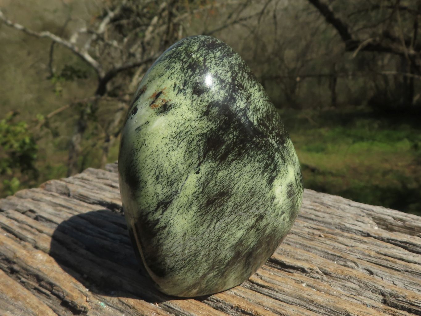 Polished Leopard Stone Standing Free Forms  x 4 From Shamva, Zimbabwe - TopRock