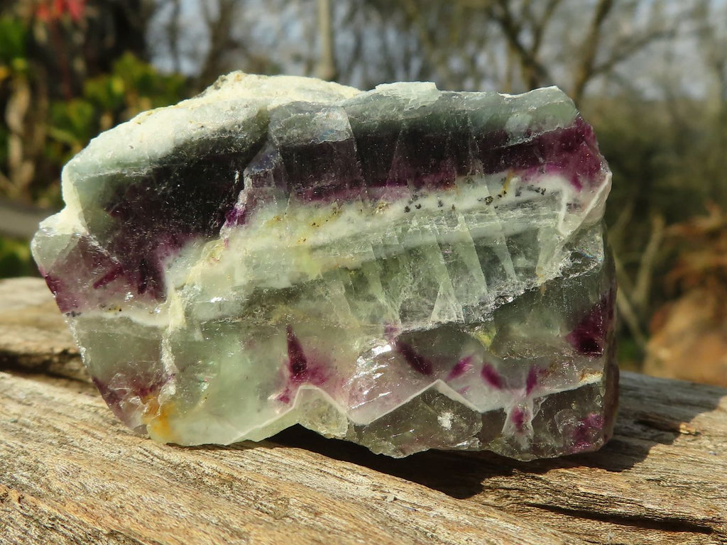 Polished  Watermelon Fluorite Slices  x 12 From Uis, Namibia - Toprock Gemstones and Minerals 