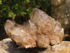 Natural Smokey Phantom Quartz Clusters x 6 From Luena, Congo - Toprock Gemstones and Minerals 