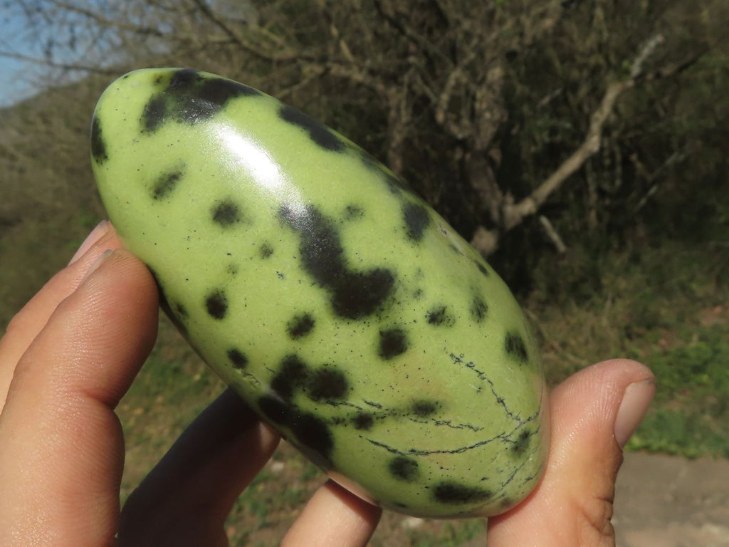 Polished Leopard Stone Standing Free Forms  x 4 From Shamva, Zimbabwe - TopRock