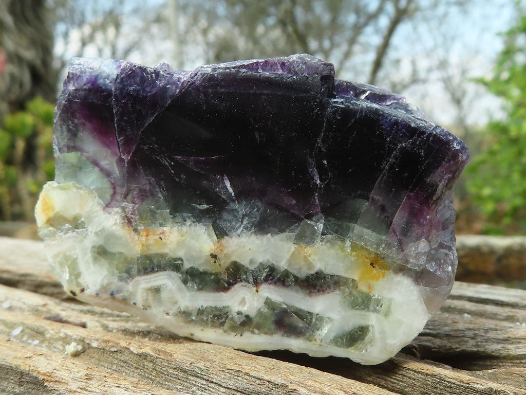 Polished  Watermelon Fluorite Slices  x 12 From Uis, Namibia - Toprock Gemstones and Minerals 
