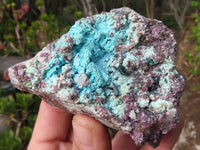 Natural Pink Salrose Cobaltion Dolomite Specimens x 6 From Kakanda, Congo - Toprock Gemstones and Minerals 