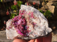 Natural Pink Salrose Cobaltion Dolomite Specimens x 6 From Kakanda, Congo - Toprock Gemstones and Minerals 