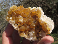 Natural Golden Limonite / Lemonite Quartz Clusters  x 12 From Mwinilunga, Zambia - TopRock